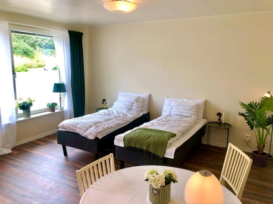 Cozy Modern Studio Apartment Stay Falkenberg Luaran gambar
